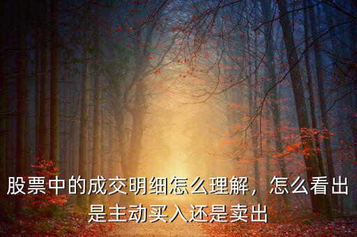 股票中的成交明細(xì)怎么理解，怎么看出是主動(dòng)買(mǎi)入還是賣(mài)出