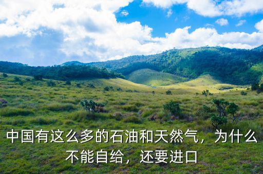 中國有這么多的石油和天然氣，為什么不能自給，還要進(jìn)口