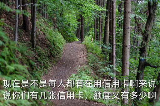 現(xiàn)在是不是每人都有在用信用卡啊來說說你們有幾張信用卡，額度又有多少啊