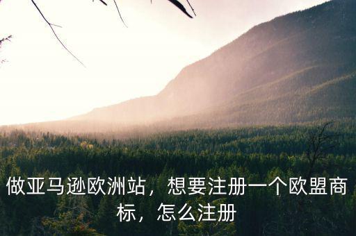 做亞馬遜歐洲站，想要注冊一個(gè)歐盟商標(biāo)，怎么注冊