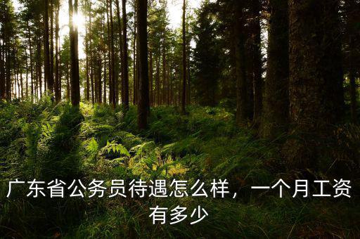 廣東省公務(wù)員待遇怎么樣，一個(gè)月工資有多少