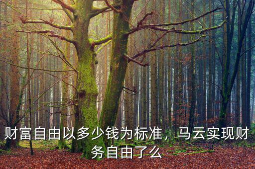 財(cái)富自由以多少錢為標(biāo)準(zhǔn)，馬云實(shí)現(xiàn)財(cái)務(wù)自由了么