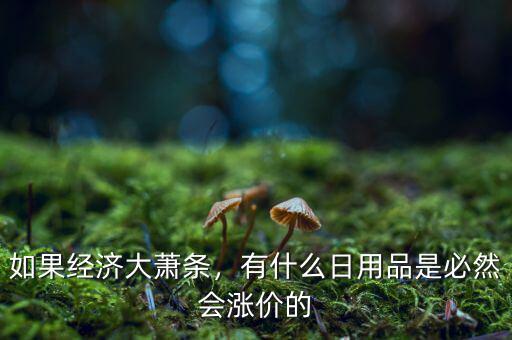 如果經(jīng)濟大蕭條，有什么日用品是必然會漲價的