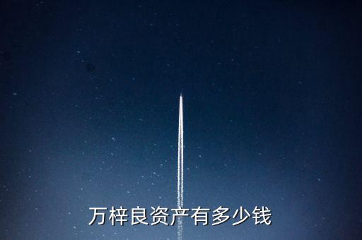萬(wàn)梓良資產(chǎn)有多少錢