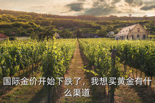 國際金價開始下跌了，我想買黃金有什么渠道