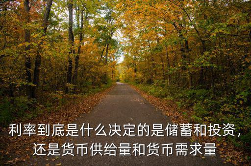 利率到底是什么決定的是儲(chǔ)蓄和投資，還是貨幣供給量和貨幣需求量