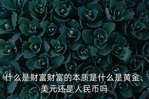 什么是財(cái)富財(cái)富的本質(zhì)是什么是黃金、美元還是人民幣嗎
