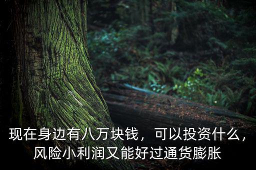 現(xiàn)在身邊有八萬塊錢，可以投資什么，風險小利潤又能好過通貨膨脹