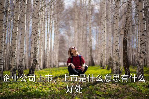 企業(yè)公司上市，上市是什么意思有什么好處