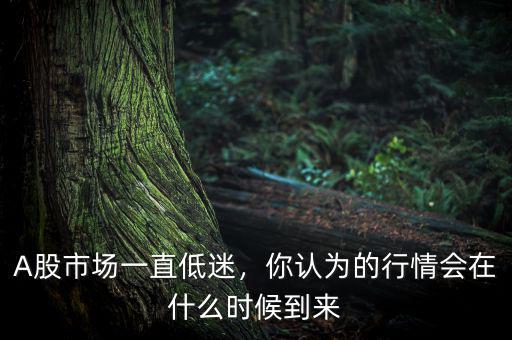 A股市場一直低迷，你認為的行情會在什么時候到來