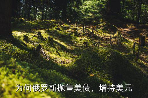 為何俄羅斯拋售美債，增持美元