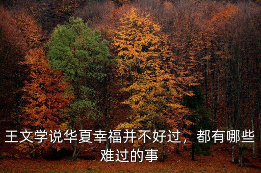 王文學(xué)說(shuō)華夏幸福并不好過(guò)，都有哪些難過(guò)的事