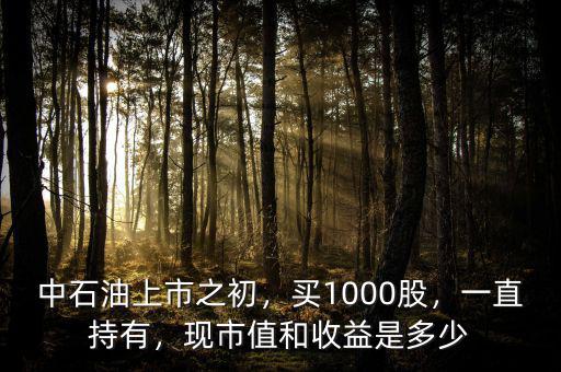 中石油上市之初，買1000股，一直持有，現(xiàn)市值和收益是多少