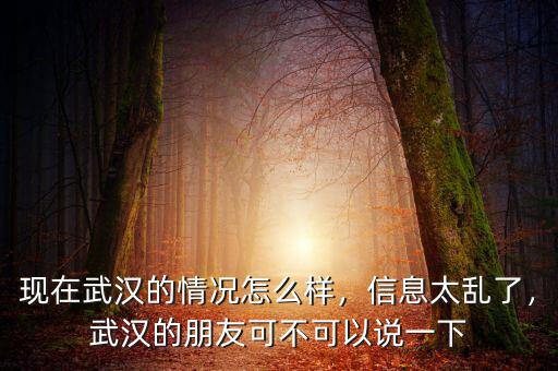 現(xiàn)在武漢的情況怎么樣，信息太亂了，武漢的朋友可不可以說一下