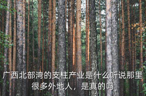 廣西北部灣的支柱產(chǎn)業(yè)是什么聽說那里很多外地人，是真的嗎