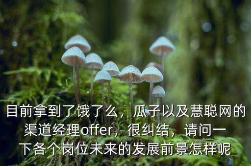 目前拿到了餓了么，瓜子以及慧聰網(wǎng)的渠道經(jīng)理offer，很糾結(jié)，請問一下各個崗位未來的發(fā)展前景怎樣呢