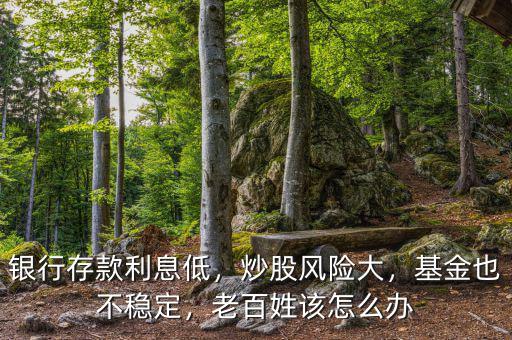 銀行存款利息低，炒股風(fēng)險大，基金也不穩(wěn)定，老百姓該怎么辦