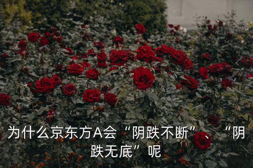 京東方a為什么股價(jià)這么低,為什么京東方利潤(rùn)那么高