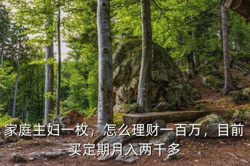 家庭主婦一枚，怎么理財(cái)一百萬(wàn)，目前買定期月入兩千多