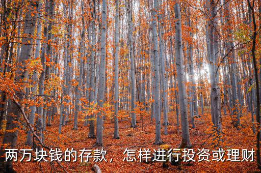 兩萬塊錢的存款，怎樣進(jìn)行投資或理財(cái)