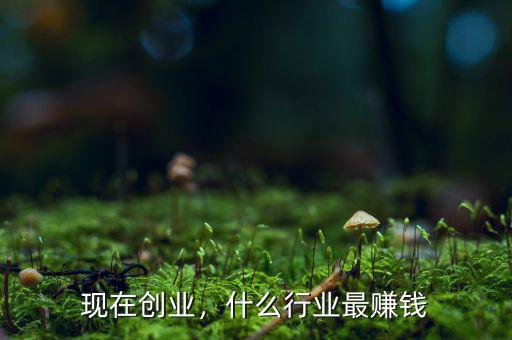 現(xiàn)在創(chuàng)業(yè)，什么行業(yè)最賺錢