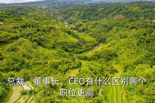 總裁、董事長、CEO有什么區(qū)別哪個職位更高