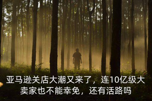 亞馬遜關(guān)店大潮又來了，連10億級大賣家也不能幸免，還有活路嗎