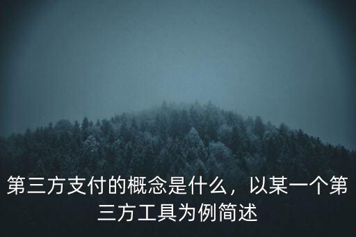 第三方支付的概念是什么，以某一個第三方工具為例簡述