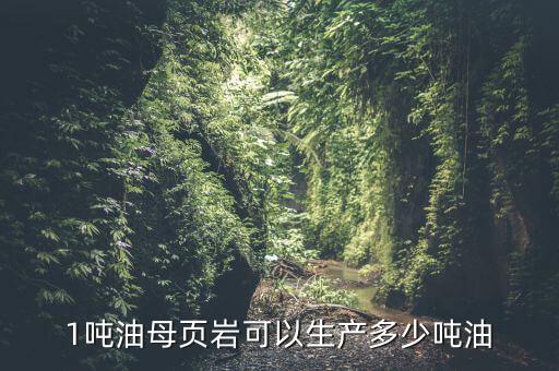 1噸油母頁(yè)巖可以生產(chǎn)多少?lài)嵱? class=