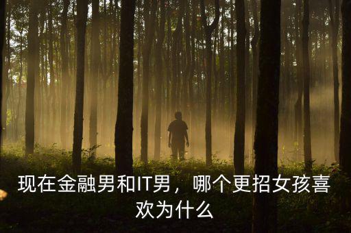 現(xiàn)在金融男和IT男，哪個更招女孩喜歡為什么