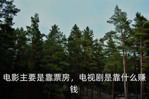 電影主要是靠票房，電視劇是靠什么賺錢