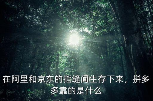 在阿里和京東的指縫間生存下來，拼多多靠的是什么
