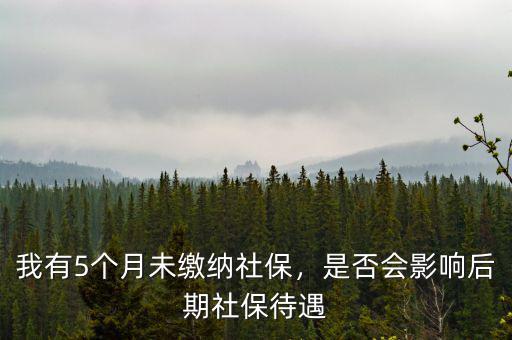我有5個月未繳納社保，是否會影響后期社保待遇