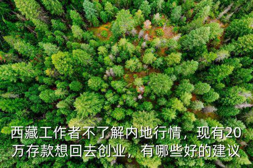 西藏工作者不了解內(nèi)地行情，現(xiàn)有20萬存款想回去創(chuàng)業(yè)，有哪些好的建議