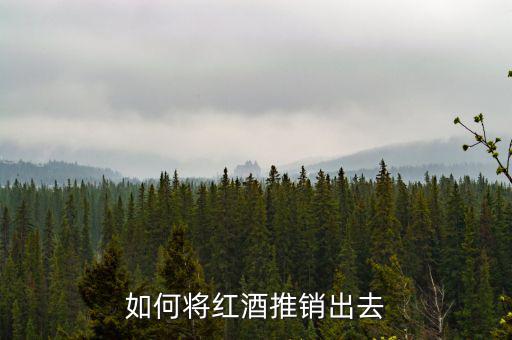 電商紅酒怎么銷(xiāo)售,拿到進(jìn)口紅酒代理