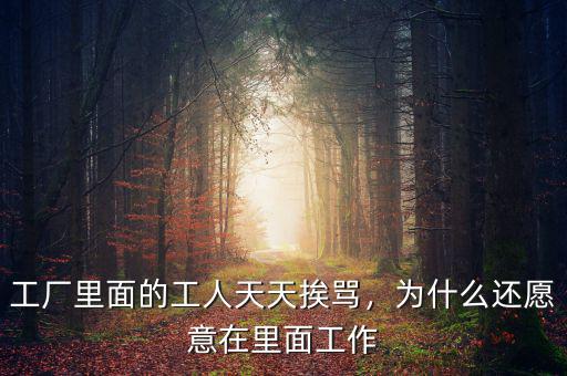 工廠里面的工人天天挨罵，為什么還愿意在里面工作