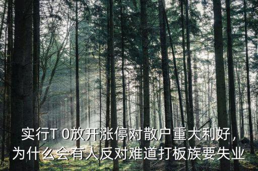 實(shí)行T 0放開漲停對(duì)散戶重大利好，為什么會(huì)有人反對(duì)難道打板族要失業(yè)