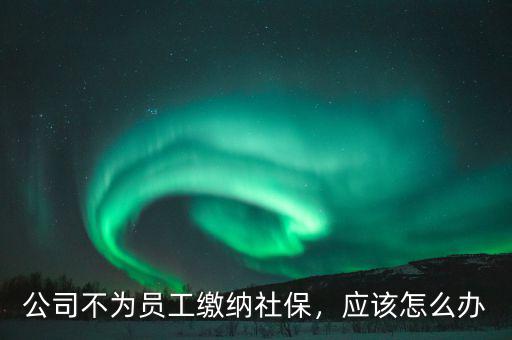 公司不買(mǎi)社保怎么辦,公司不為員工繳納社保
