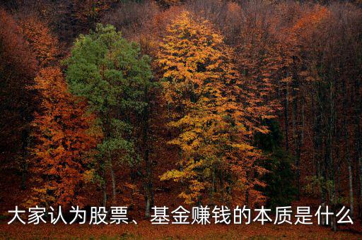 大家認(rèn)為股票、基金賺錢(qián)的本質(zhì)是什么