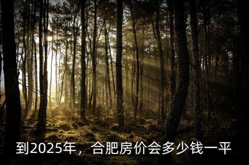到2025年，合肥房?jī)r(jià)會(huì)多少錢一平