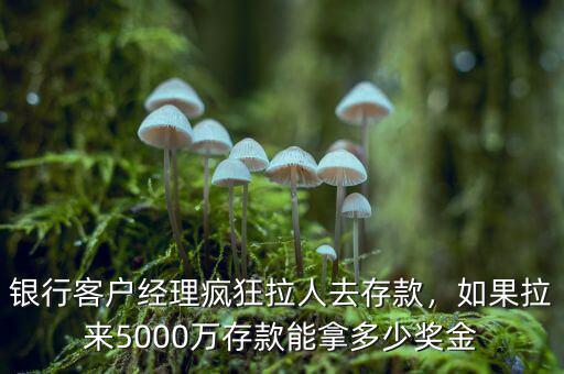 存款多少萬(wàn)客戶經(jīng)理會(huì)送禮品,銀行客戶經(jīng)理瘋狂拉人去存款
