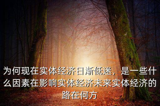 為何現(xiàn)在實(shí)體經(jīng)濟(jì)日漸低迷，是一些什么因素在影響實(shí)體經(jīng)濟(jì)未來實(shí)體經(jīng)濟(jì)的路在何方
