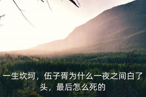 一生坎坷，伍子胥為什么一夜之間白了頭，最后怎么死的