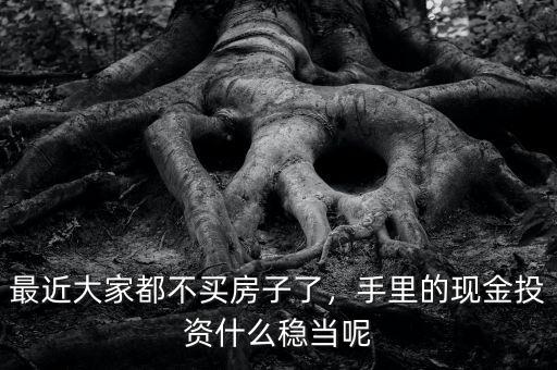 最近大家都不買房子了，手里的現(xiàn)金投資什么穩(wěn)當(dāng)呢