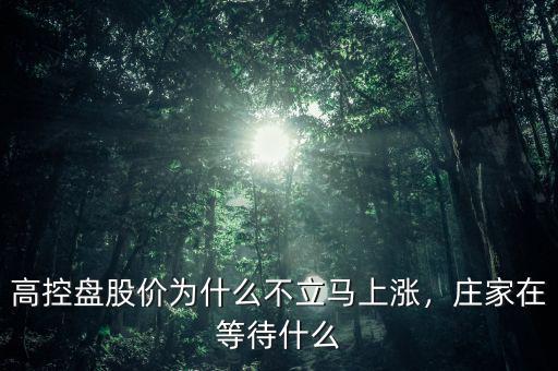 高控盤股價為什么不立馬上漲，莊家在等待什么