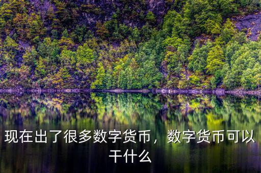 現(xiàn)在出了很多數(shù)字貨幣，數(shù)字貨幣可以干什么