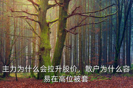 主力怎么拉升股價(jià),主力到底是如何拉升股價(jià)的
