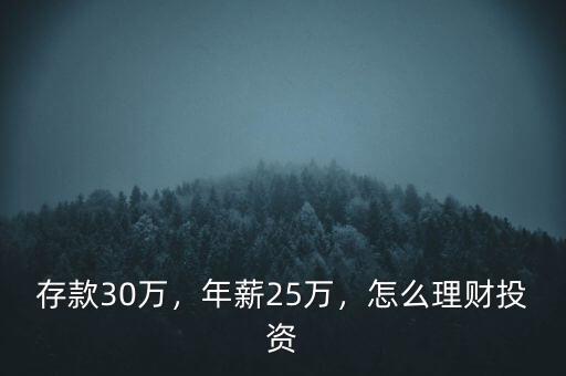存款30萬(wàn)，年薪25萬(wàn)，怎么理財(cái)投資