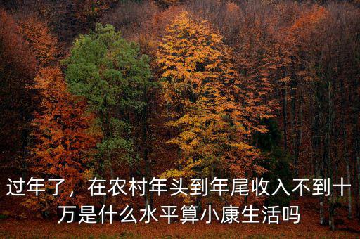 過年了，在農(nóng)村年頭到年尾收入不到十萬是什么水平算小康生活嗎