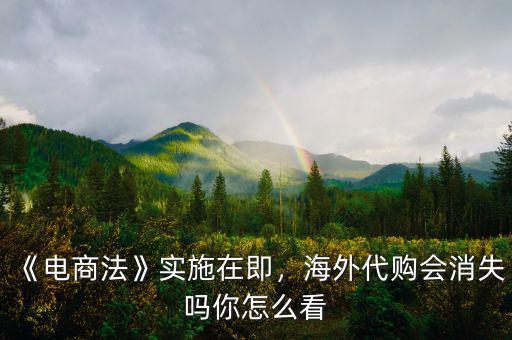 《電商法》實施在即，海外代購會消失嗎你怎么看